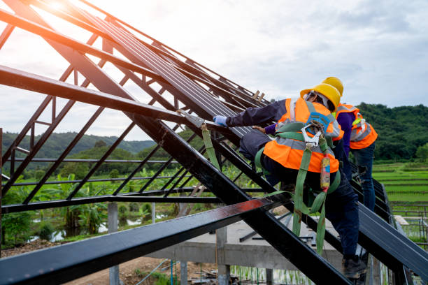 Best New Roof Installation  in Warrenvle, IL