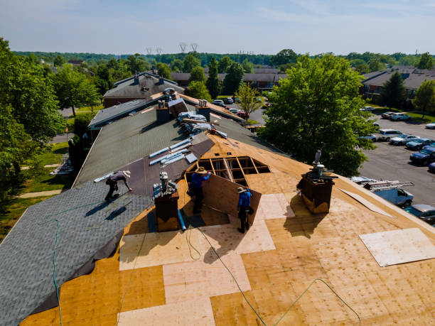 Best Flat Roof Repair Services  in Warrenvle, IL