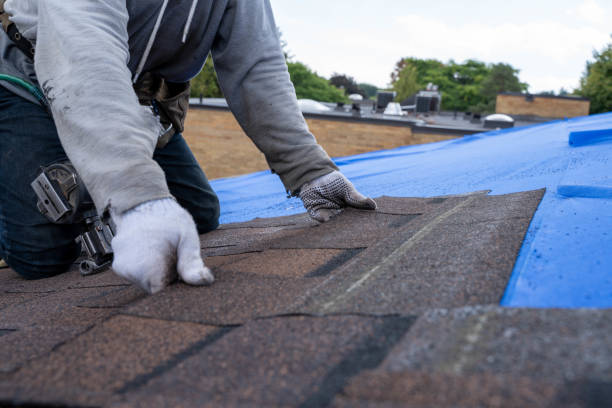 Sealant for Roof in Warrenville, IL