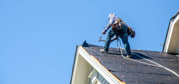 Best Roof Restoration Services  in Warrenvle, IL